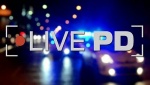 live-pd4.jpg